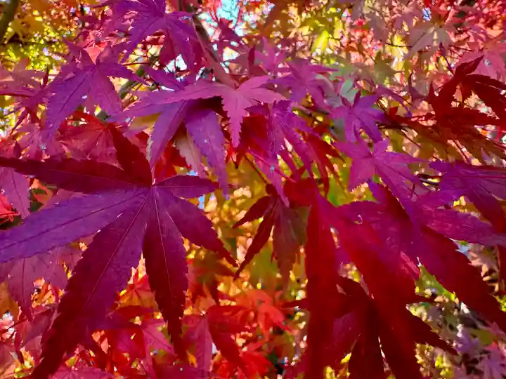 伊勢の国 四天王寺(三重県)