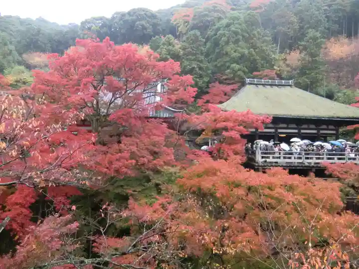 清水寺(京都府)
