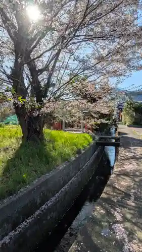 小唐崎神社(滋賀県)