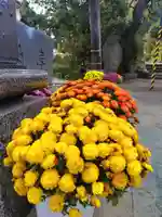 豊景神社(福島県)