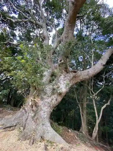 岩上神社(兵庫県)