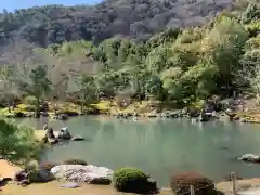 天龍寺の庭園