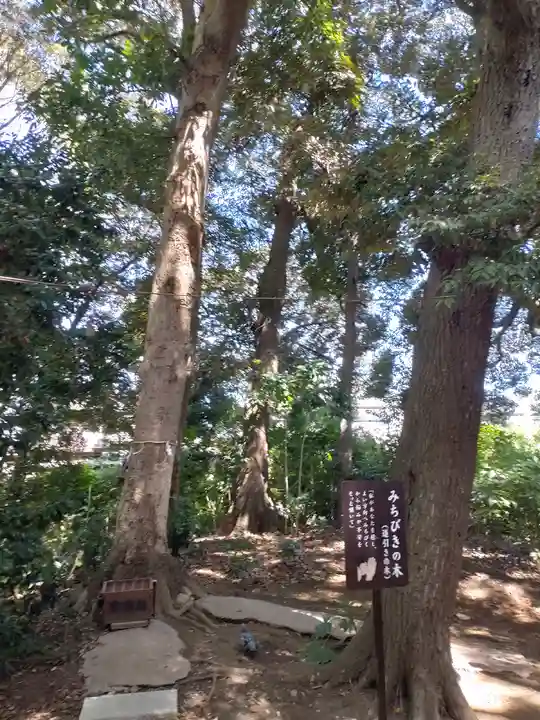 鶴嶺八幡宮(神奈川県)