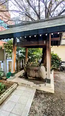 蔵前神社の手水舎