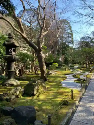 報国寺の庭園