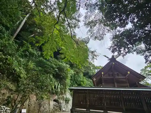 安房神社(千葉県)