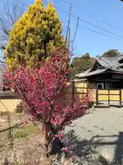 宝蔵院の建物その他