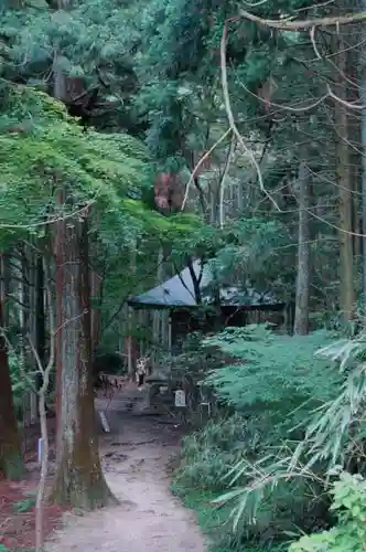 金峯神社の自然