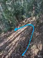 琴平神社(埼玉県)