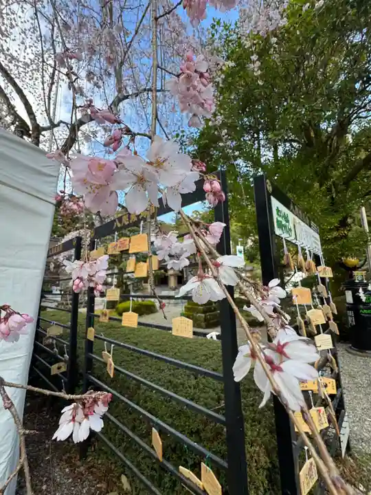 熊野本宮大社の御朱印