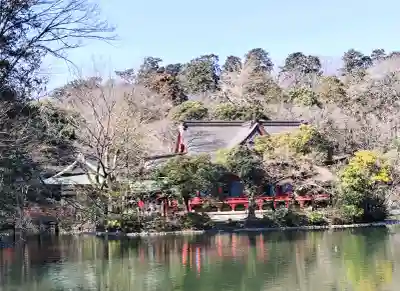 井の頭弁財天（大盛寺）の{uncategorized: "未分類", other: "その他", undefined: "問題あり", building: "その他建物", grave: "お墓", sacred_gate: "鳥居", guardian: "狛犬", statue: "像", buddha: "仏像", history: "歴史", nature: "自然", garden: "庭園", animal: "動物", pagoda: "塔", temizu: "手水舎", mountain_gate: "山門・神門", sanctuary: "本殿・本堂", subordinate: "末社・摂社", art: "芸術", scenery: "景色", jizo: "地蔵", ema: "絵馬", goshuin: "御朱印", omikuji: "おみくじ", items: "授与品その他", amulet: "お守り", goshuincho: "御朱印帳", eats: "食事", festival: "お祭り", votive_dance: "神楽", shichigosan: "七五三参", wedding: "結婚式", experience: "体験その他", initially: "初詣", around: "周辺", anti_infection: "感染症対策"}