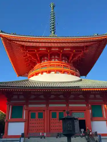 高野山金剛峯寺(和歌山県)