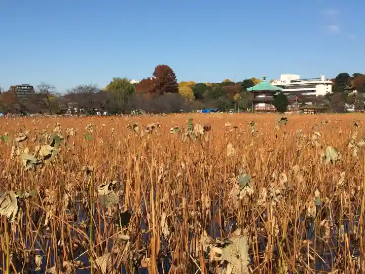 寛永寺不忍池弁天堂(東京都)