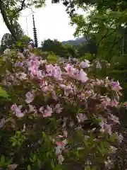 常樂寺(滋賀県)