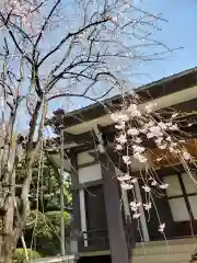 観静院の自然