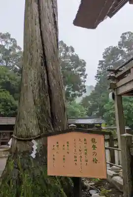 豊受大神社(京都府)