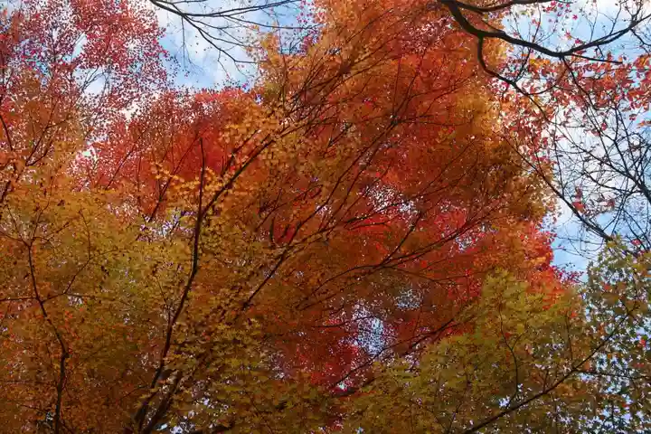 徳善院明王密寺の自然