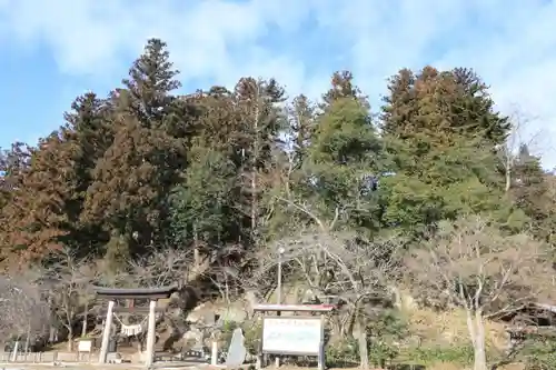 田村神社の景色