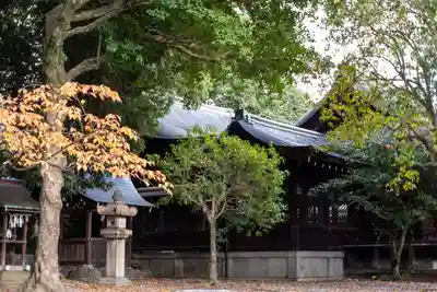 離宮八幡宮(京都府)
