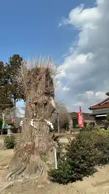 大崎八幡神社(宮城県)