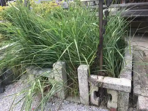 宗安寺のその他建物