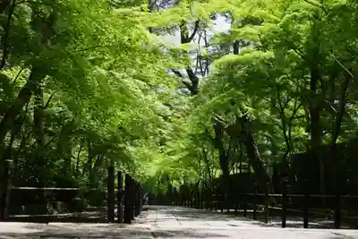 光明寺（粟生光明寺）(京都府)