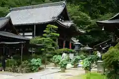 岡寺（龍蓋寺）の建物その他