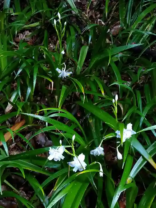 若一王子宮(高知県)