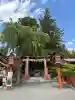 遠野郷八幡宮の{uncategorized: "未分類", other: "その他", undefined: "問題あり", building: "その他建物", grave: "お墓", sacred_gate: "鳥居", guardian: "狛犬", statue: "像", buddha: "仏像", history: "歴史", nature: "自然", garden: "庭園", animal: "動物", pagoda: "塔", temizu: "手水舎", mountain_gate: "山門・神門", sanctuary: "本殿・本堂", subordinate: "末社・摂社", art: "芸術", scenery: "景色", jizo: "地蔵", ema: "絵馬", goshuin: "御朱印", omikuji: "おみくじ", items: "授与品その他", amulet: "お守り", goshuincho: "御朱印帳", eats: "食事", festival: "お祭り", votive_dance: "神楽", shichigosan: "七五三参", wedding: "結婚式", experience: "体験その他", initially: "初詣", around: "周辺", anti_infection: "感染症対策"}