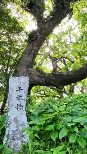 大汝牟遅神社の{uncategorized: "未分類", other: "その他", undefined: "問題あり", building: "その他建物", grave: "お墓", sacred_gate: "鳥居", guardian: "狛犬", statue: "像", buddha: "仏像", history: "歴史", nature: "自然", garden: "庭園", animal: "動物", pagoda: "塔", temizu: "手水舎", mountain_gate: "山門・神門", sanctuary: "本殿・本堂", subordinate: "末社・摂社", art: "芸術", scenery: "景色", jizo: "地蔵", ema: "絵馬", goshuin: "御朱印", omikuji: "おみくじ", items: "授与品その他", amulet: "お守り", goshuincho: "御朱印帳", eats: "食事", festival: "お祭り", votive_dance: "神楽", shichigosan: "七五三参", wedding: "結婚式", experience: "体験その他", initially: "初詣", around: "周辺", anti_infection: "感染症対策"}