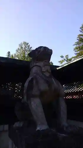 上杉神社の狛犬