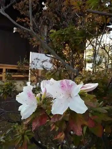 佛蔵院の末社・摂社