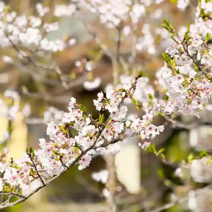 伊勢の国 四天王寺(三重県)