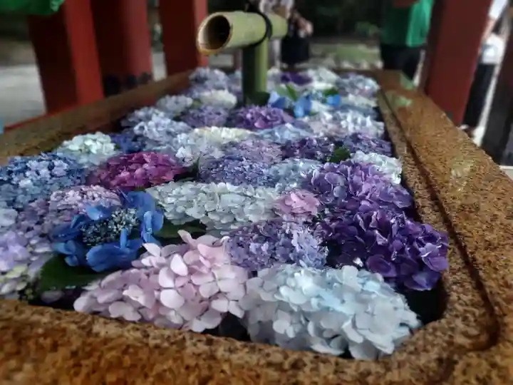 鶴岡八幡宮の手水舎