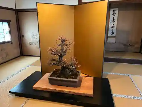 建仁寺（建仁禅寺）の{uncategorized: "未分類", other: "その他", undefined: "問題あり", building: "その他建物", grave: "お墓", sacred_gate: "鳥居", guardian: "狛犬", statue: "像", buddha: "仏像", history: "歴史", nature: "自然", garden: "庭園", animal: "動物", pagoda: "塔", temizu: "手水舎", mountain_gate: "山門・神門", sanctuary: "本殿・本堂", subordinate: "末社・摂社", art: "芸術", scenery: "景色", jizo: "地蔵", ema: "絵馬", goshuin: "御朱印", omikuji: "おみくじ", items: "授与品その他", amulet: "お守り", goshuincho: "御朱印帳", eats: "食事", festival: "お祭り", votive_dance: "神楽", shichigosan: "七五三参", wedding: "結婚式", experience: "体験その他", initially: "初詣", around: "周辺", anti_infection: "感染症対策"}