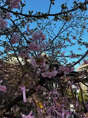 桜神宮の{uncategorized: "未分類", other: "その他", undefined: "問題あり", building: "その他建物", grave: "お墓", sacred_gate: "鳥居", guardian: "狛犬", statue: "像", buddha: "仏像", history: "歴史", nature: "自然", garden: "庭園", animal: "動物", pagoda: "塔", temizu: "手水舎", mountain_gate: "山門・神門", sanctuary: "本殿・本堂", subordinate: "末社・摂社", art: "芸術", scenery: "景色", jizo: "地蔵", ema: "絵馬", goshuin: "御朱印", omikuji: "おみくじ", items: "授与品その他", amulet: "お守り", goshuincho: "御朱印帳", eats: "食事", festival: "お祭り", votive_dance: "神楽", shichigosan: "七五三参", wedding: "結婚式", experience: "体験その他", initially: "初詣", around: "周辺", anti_infection: "感染症対策"}