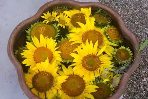 東海市熊野神社の手水舎