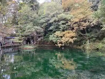 涌釜神社(栃木県)