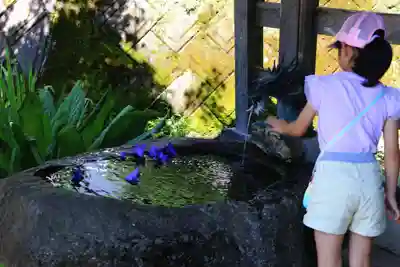 鹿島大神宮の手水舎