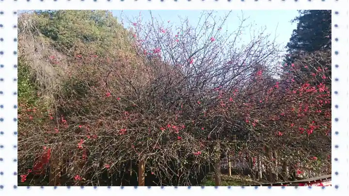 冠稲荷神社(群馬県)