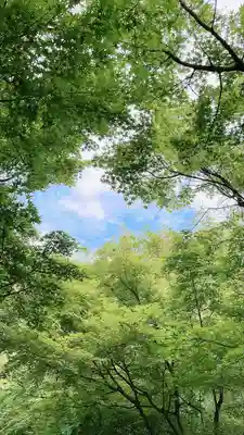 武雄神社(佐賀県)