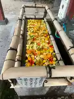 津島神社の手水舎