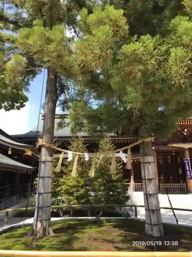 寒川神社の自然