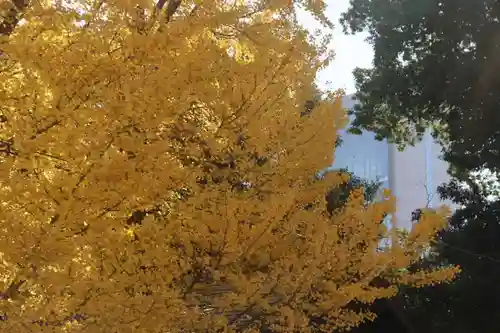 阿邪訶根神社の自然
