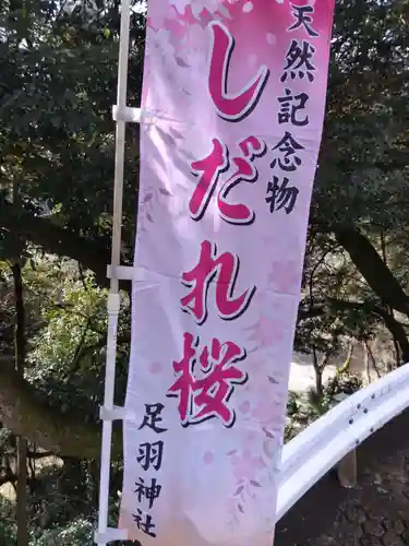 足羽神社(福井県)