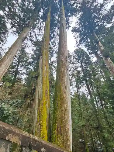 日光東照宮(栃木県)