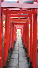 根津神社の鳥居