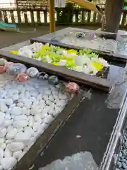 根岸八幡神社の手水