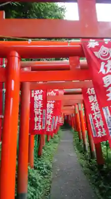 佐助稲荷神社の鳥居