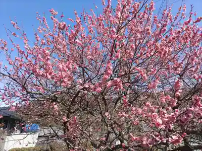 信達神社の自然